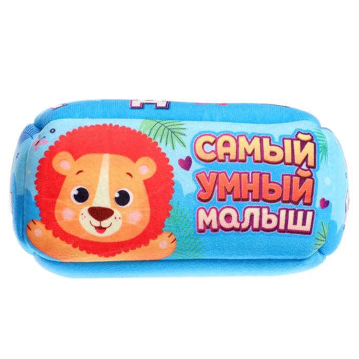 Сортер «Самый умный малыш» Сортер «Самый умный малыш»