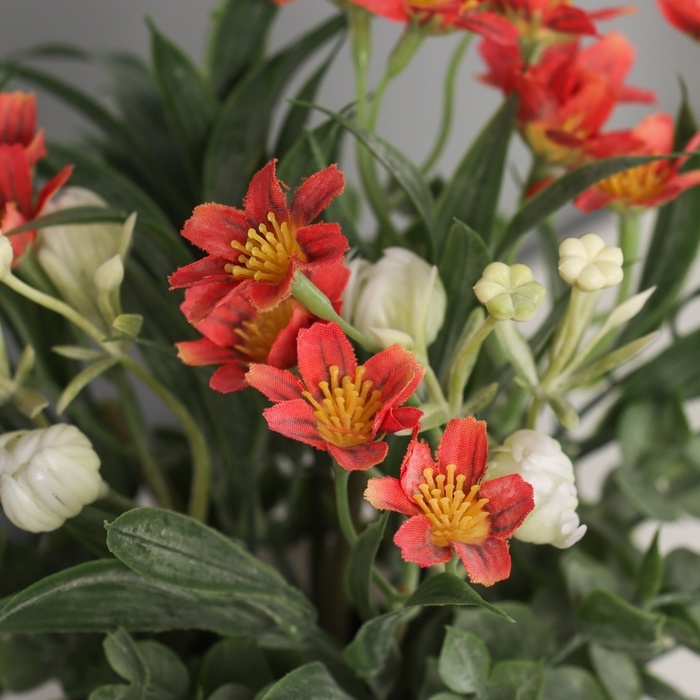 Бонсай в горшке Бонсай в горшке "Фрезия премиум экстра" 21х9 см, микс