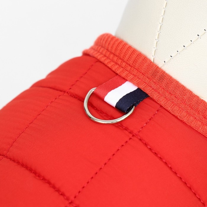 Куртка для собак  Куртка для собак "Nice", размер 2XL (ДС 41 см, ОШ 41 см, ОГ 54 см), красная