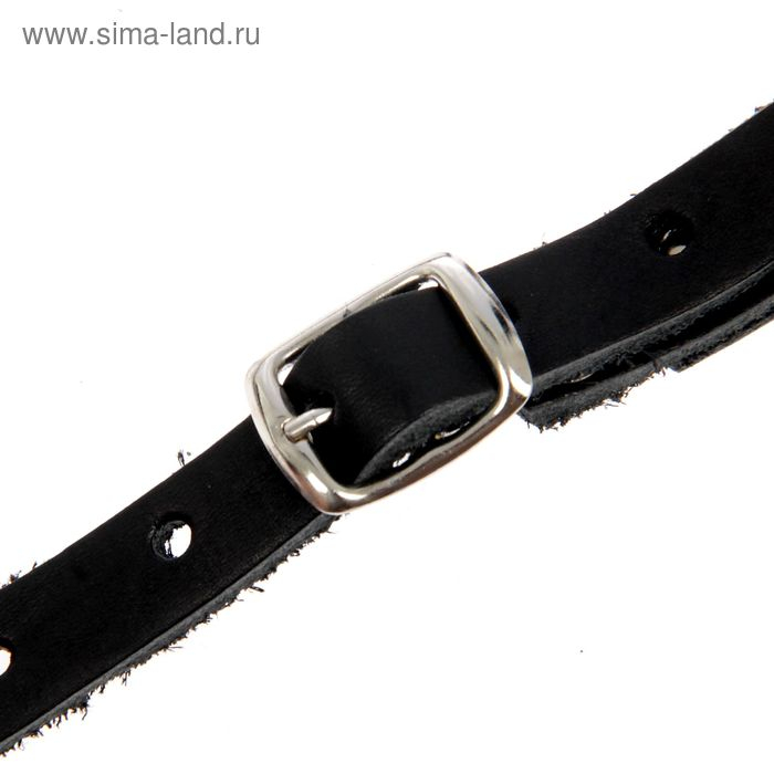 Намордник кожаный сетчатый с перемычкой №2,доберман,(длина по носу 9,5см, обхват морды 28см), 161347 Намордник кожаный сетчатый с перемычкой №2,доберман,(длина по носу 9,5см, обхват морды 28см), 161347