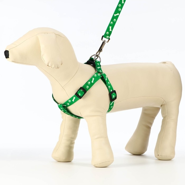 Комплект капроновый Комплект капроновый "Косточки и лапки", 1,5 см, шлейка 30-44 см, поводок 120 см, зелёный