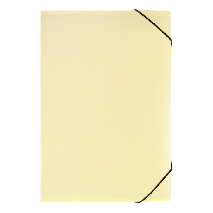 Папка картотека А4, Calligrata Папка картотека А4, Calligrata "Акварель", 13 отделений, пластиковая, 700 мкм, ванильная, резинка чёрная