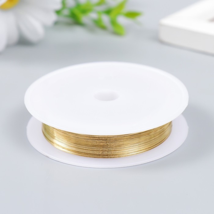 Проволока для творчества  Проволока для творчества "Astra" 0,25 мм, 10 м, золото