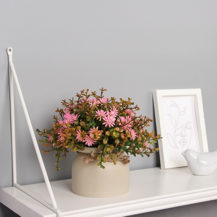 Бонсай в горшке Бонсай в горшке "Очиток комнатный" 17х10 см, микс