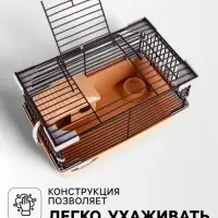 Клетка-мини для грызунов &laquo;Пижон&raquo; №1, 27&times;15&times;13 см, укомплектованная, бежевая