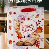 Пакеты подарочные &laquo;Самому любимому учителю&raquo;, набор 3 шт., 18&times;23&times;10 см