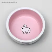 Миска для кроликов, 200 мл, 10&times;3.7 см, керамика, белая, розовая