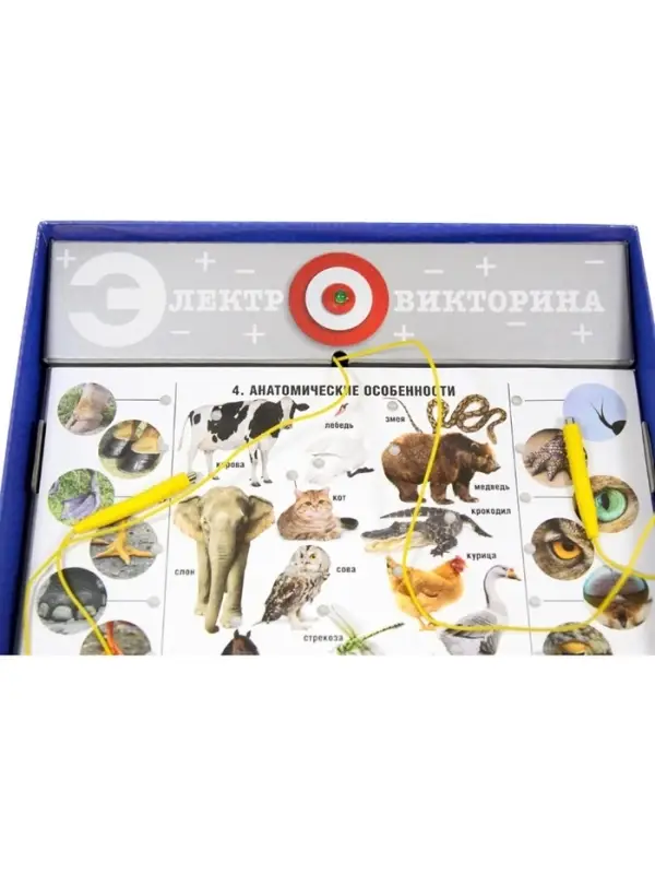 Электровикторина Десятое Королевство &laquo;Живая природа&raquo;, 5+
