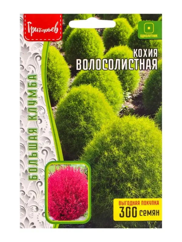 Семена цветов Кохия Волосолистная ВП 300шт.  12.29 г.