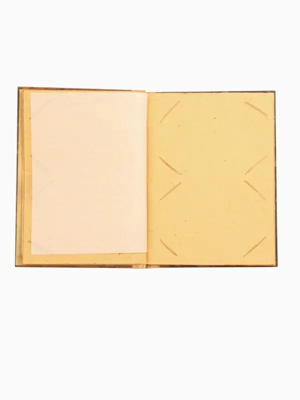 Фотоальбом &laquo;Ящерица&raquo;, 10 листов, 23&times;27&times;2 см, коричневый