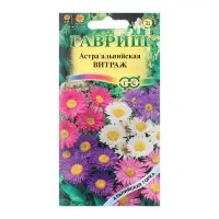 Семена цветов Астра "Витраж", ц/п, альпийская, 0,05 г Семена цветов Астра "Витраж", ц/п, альпийская, 0,05 г