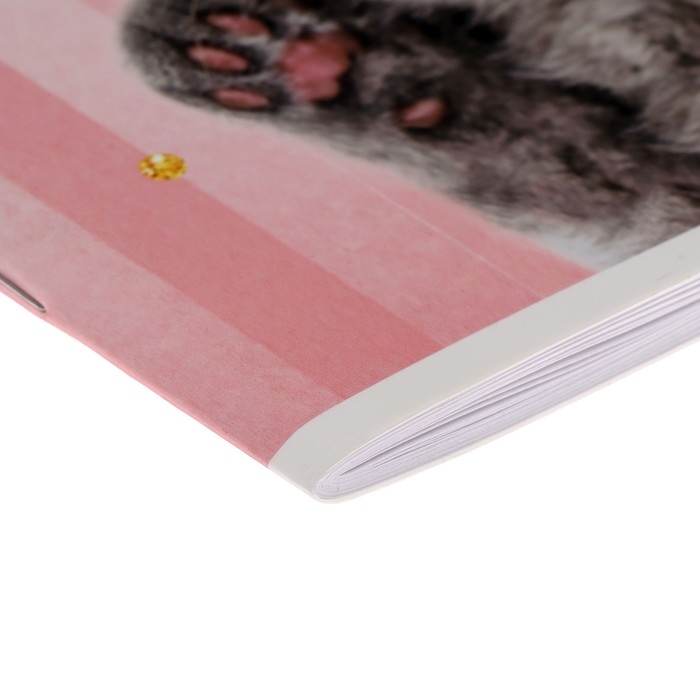 Альбом для рисования А4, 40 листов на скрепке CАt lАdy, обложка мелованный картон, блок 100 г/м² Альбом для рисования А4, 40 листов на скрепке CАt lАdy, обложка мелованный картон, блок 100 г/м²