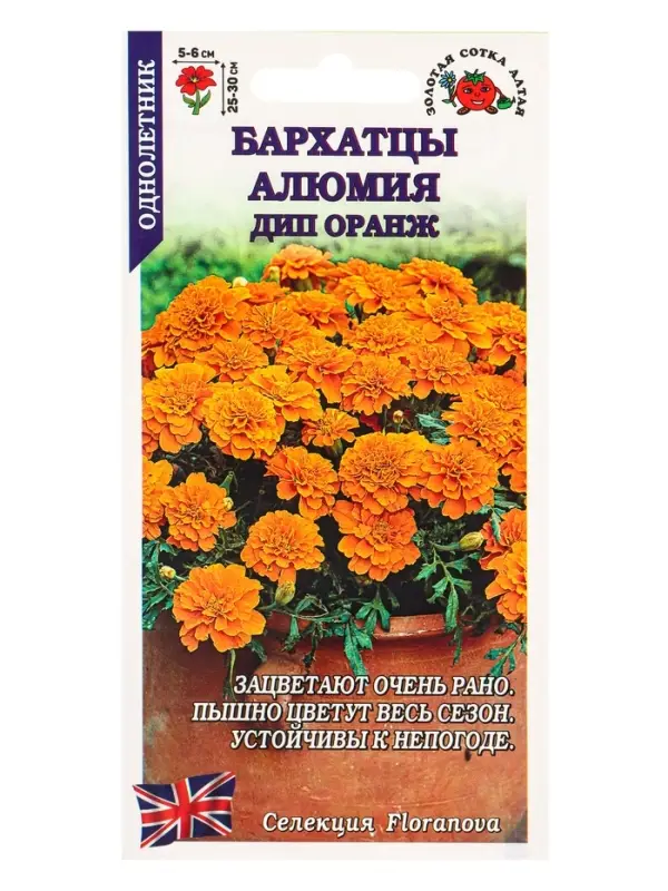 Семена Бархатцы Алюмия Дип оранж F1 /Сотка/ 10шт/ h-25-30см d-6см/*1800 Семена Бархатцы Алюмия Дип оранж F1 /Сотка/ 10шт/ h-25-30см d-6см/*1800