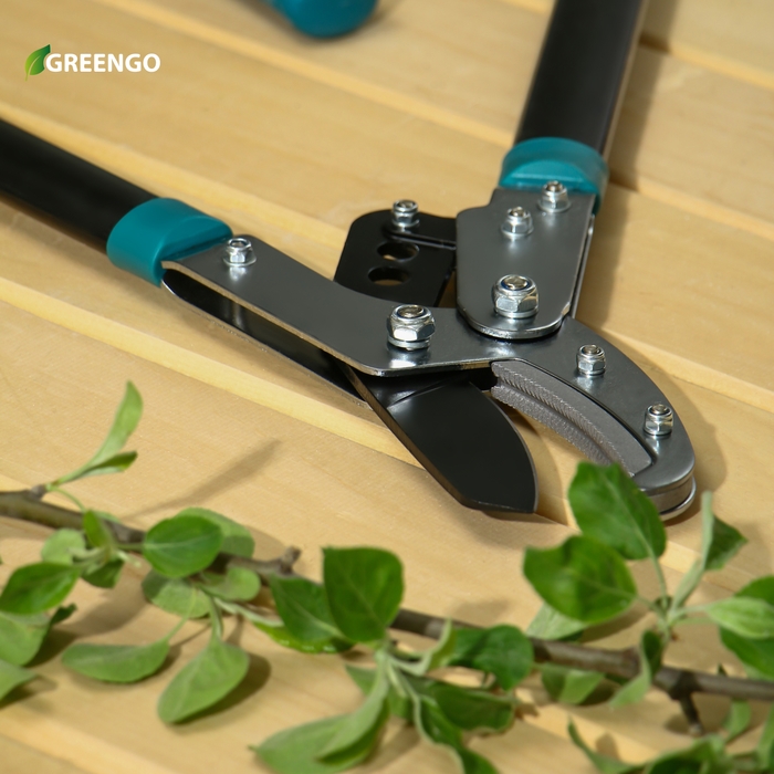 Сучкорез контактный, 31 Сучкорез контактный, 31" (79 см), с наковальней, с пластиковыми ручками, МИКС, Greengo