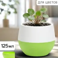 Горшок цветочный &laquo;Япония&raquo;, 125 мл, d=8 см, h=6.5 см, пластиковый, с поддоном, бело-фисташковый