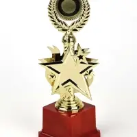 Кубок 192, 2 место, наградная фигура, золото, подставка пластик, 23 см