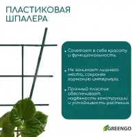 Шпалера, 48&times;29&times;0.5 см, пластик, зелёная, Greengo