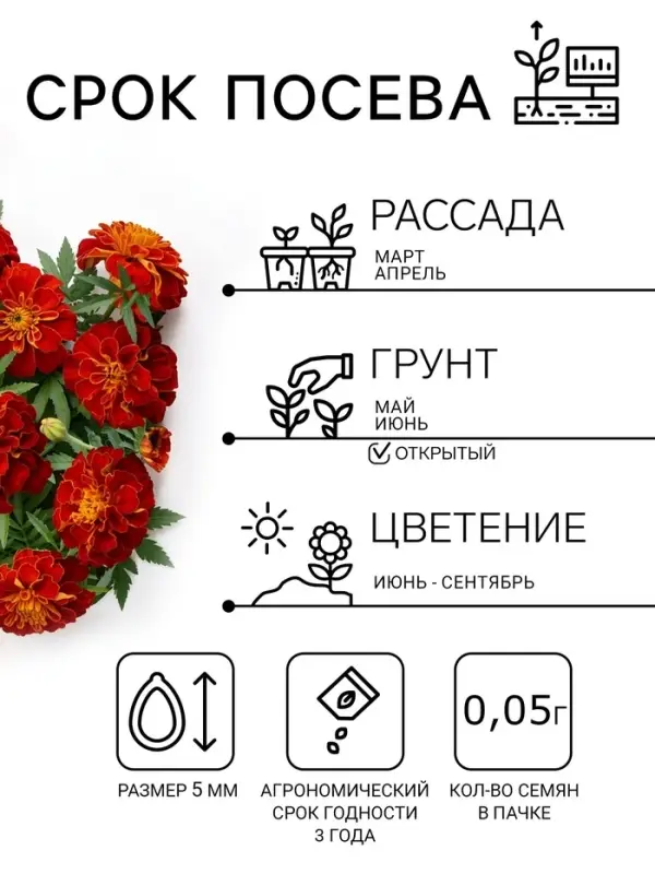 Семена цветов Бархатцы &laquo;Кармен&raquo;, 0.2 г, &laquo;Семена Алтая&raquo;