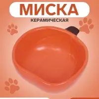 Миска для грызунов &laquo;Тыква&raquo;, 10&times;10&times;4 см, керамика