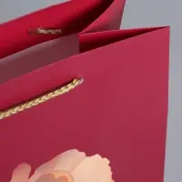 Пакет подарочный ламинированный "Пион" 18 х 22,3 х 10 см