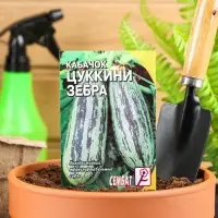 Семена Кабачок цукини &laquo;Зебра&raquo;, 2-3 г, &laquo;Сембат&raquo;