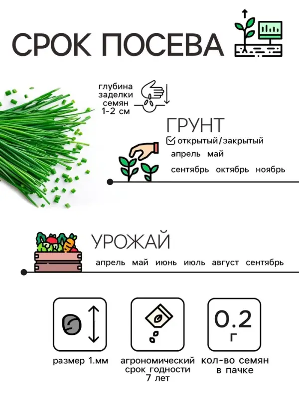 Семена Лук шнитт  Семена Лук шнитт "Чемал", 0,2 г