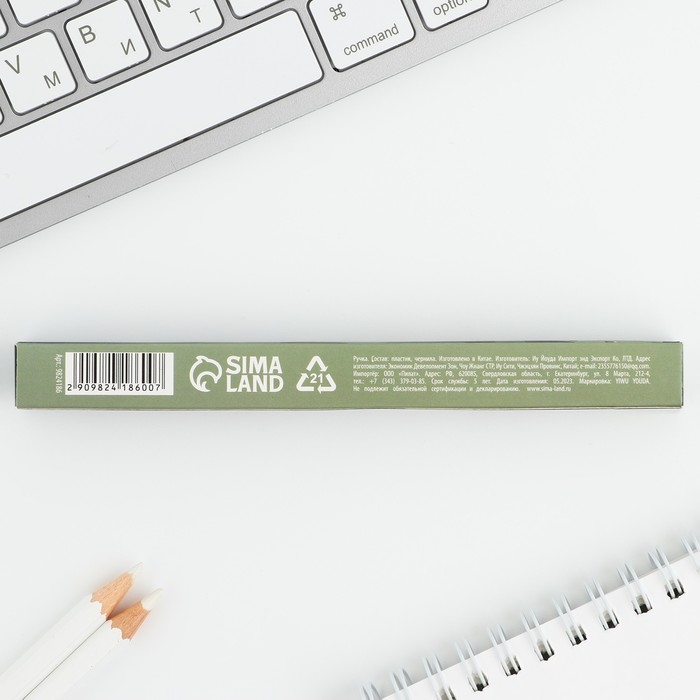 Ручка шариковая, пластик «23 февраля» Ручка шариковая, пластик «23 февраля»