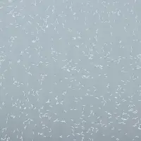 Пленка для цветов, "Звёздное небо", белый, 57х57 см