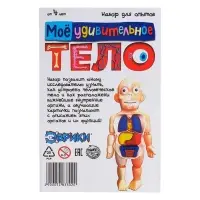 Набор для опытов &laquo;Мое удивительное тело&raquo;