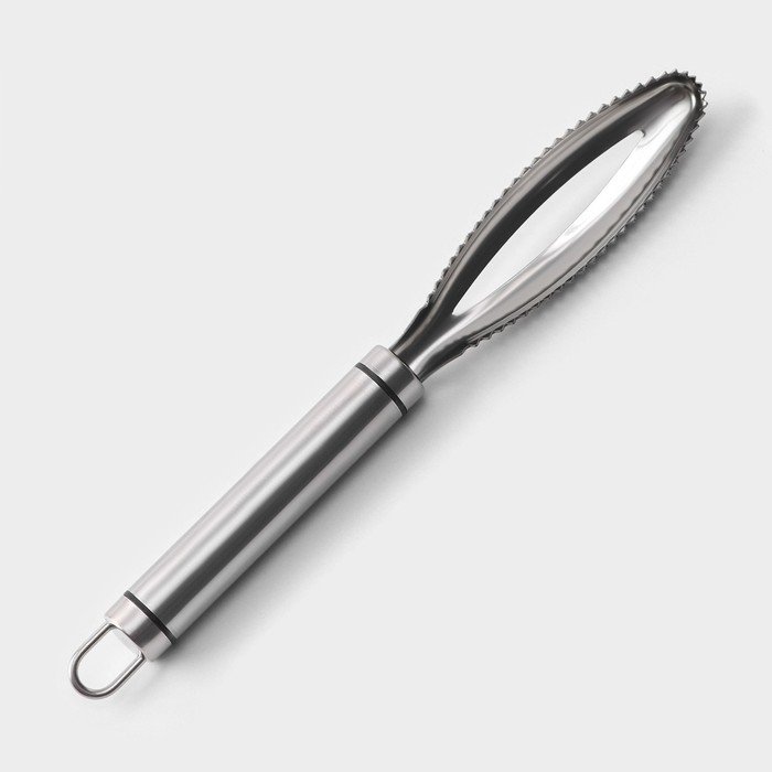 Рыбочистка Magistro Solid, нержавеющая сталь, цвет хромированный Рыбочистка Magistro Solid, нержавеющая сталь, цвет хромированный