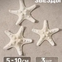 Набор из 3 морских звезд, размер каждой 5-10 см, белые