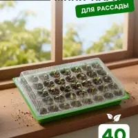 Мини-парник для рассады, 57&times;36&times;13.5 см, 1 вставка, 40 ячеек, Greengo
