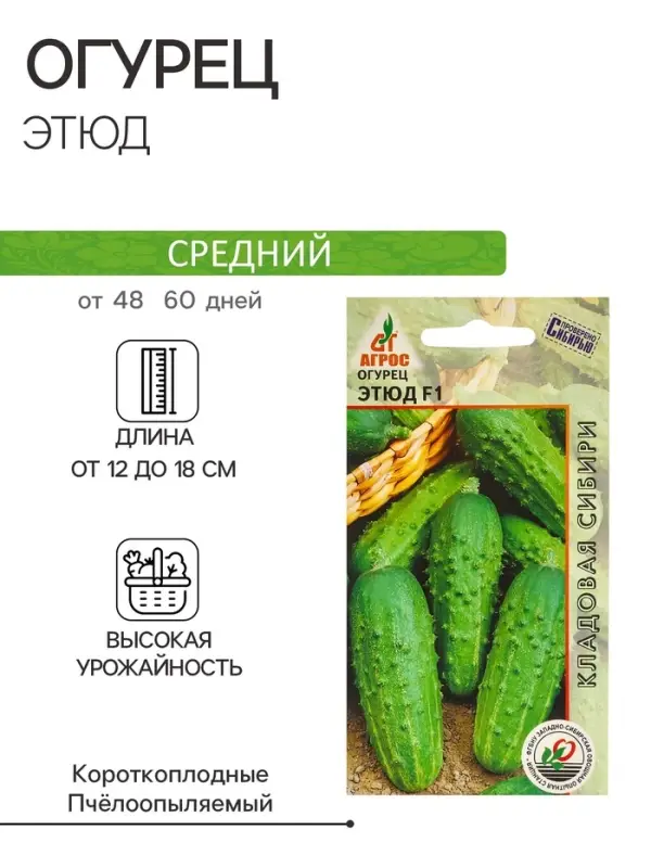 Семена Огурец"Этюд"F1 10шт* КС