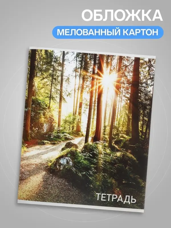 Тетрадь 96 листов, в клетку, Calligrata &laquo;Природа&raquo;, серые листы, МИКС