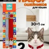 Набор ошейников для кошек, серый, красный