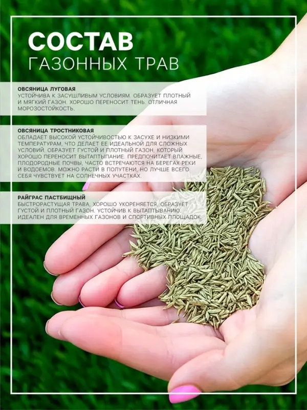 Семена Газонная травосмесь &laquo;Сибиряк&raquo;, 1 кг