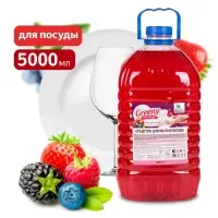 Средство для мытья посуды "Greeny" Light "Лесные ягоды" 5 л. Clean&Green CG8168