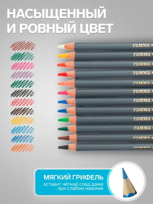 Карандаши цветные акварельные &laquo;Гамма. Студия&raquo; 12 цветов, грифель 3.8 мм, картонная коробка