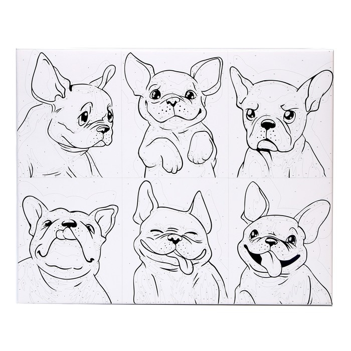Картина по номерам на холсте с подрамником «Яркие бульдоги», 40 х 50 см