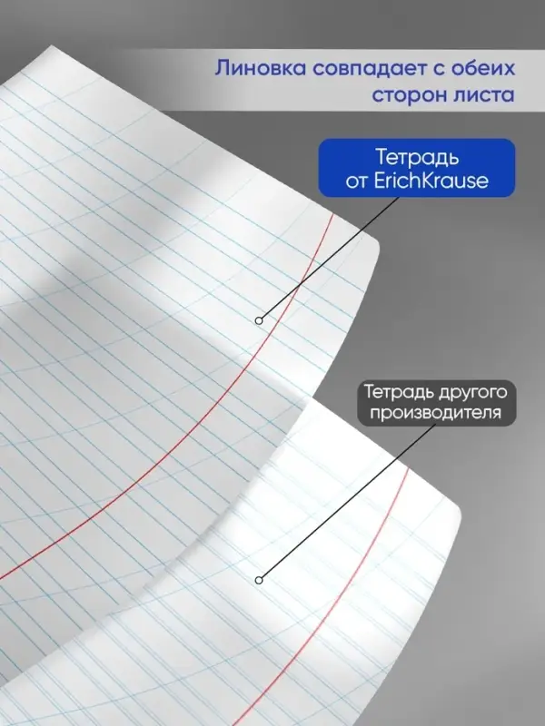 Тетрадь 12 листов в косую линейку ErichKrause &laquo;Классика Visio&raquo;, обложка мелованный картон, голубая