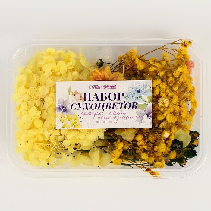 Набор сухоцветов «Летнее поле» Набор сухоцветов «Летнее поле»