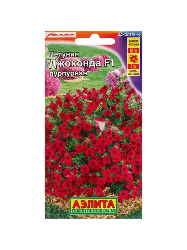 Набор семян Петуния Набор семян Петуния "Джоконда", F1, пурпурная, драже в пробирке, 4 шт.