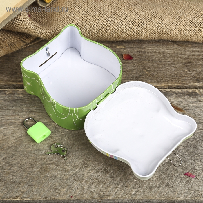 Копилка для денег с замком и ключом «Маленький совёныш», метал, 8.5×9×4.5 см, МИКС Копилка для денег с замком и ключом «Маленький совёныш», метал, 8.5×9×4.5 см, МИКС