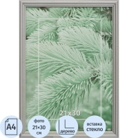 Рамка 21х30см деревянная, профиль №1, цвет 'серебр