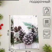 Пакет подарочный новогодний ламинированный &laquo;Зимняя пора&raquo; 18&times;23&times;10 см