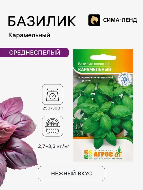 Семена Базилик овощной &laquo;Карамельный&raquo;, 1 г, &laquo;Агрос&raquo;