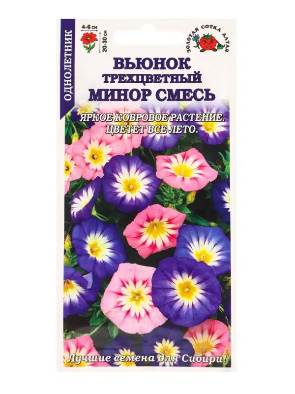 Семена Вьюнок Минор трехцветный /Сотка/ 0,5 г/ 20-30см/ *900 Семена Вьюнок Минор трехцветный /Сотка/ 0,5 г/ 20-30см/ *900