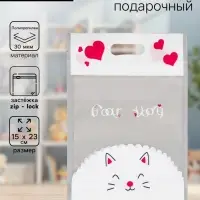 Пакет подарочный, с zip-lock застежкой, 15&times;23 см