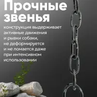 Цепь для привязи собак, 3 м, калибр 3&times;16 мм, черная
