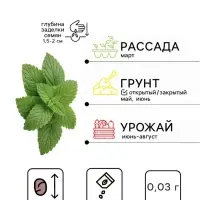 Семена Мята перечная &laquo;Ворожея&raquo;, 0.03 г, &laquo;Артикул&raquo;